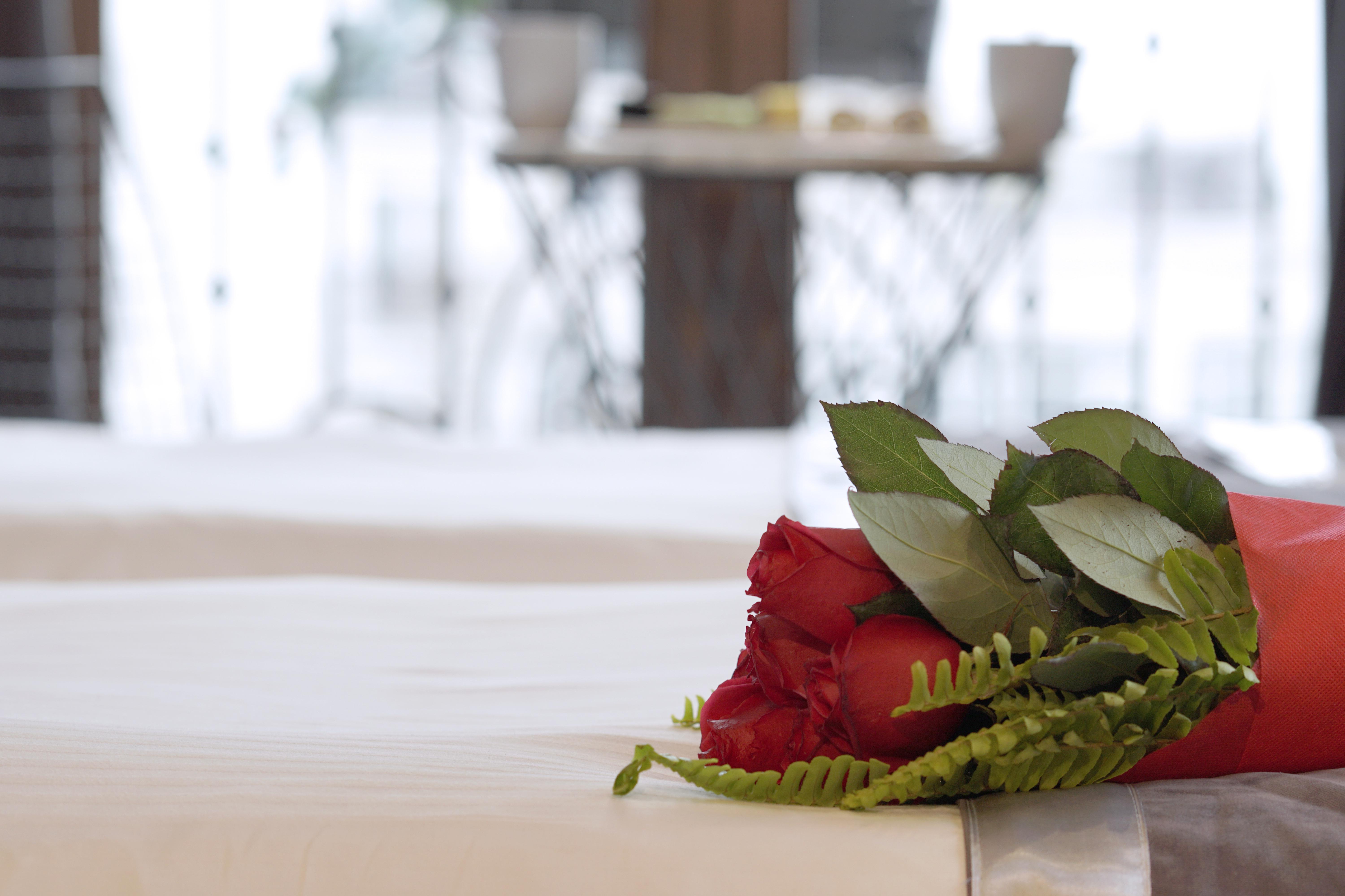 Parmada Hotel Истанбул Екстериор снимка